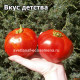 Вкус детства