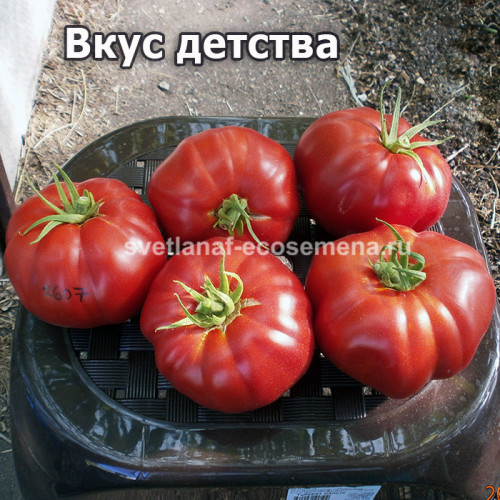 Вкус детства