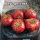 Вкус детства