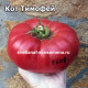 Кот Тимофей
