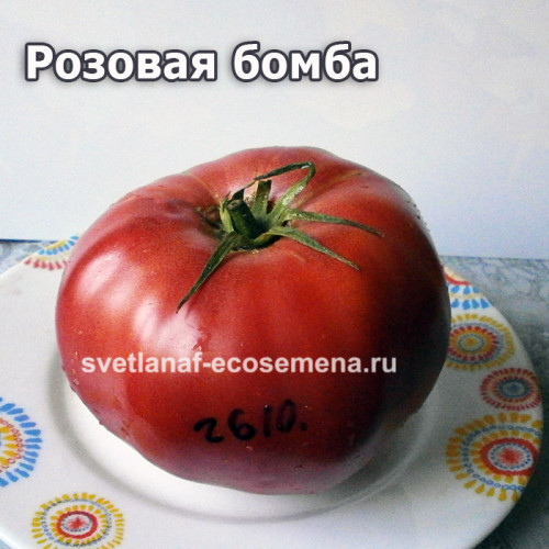 Розовая бомба