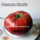 Розовая бомба