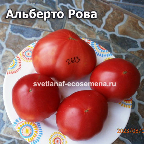 Альберто Рова (Alberto Rova)