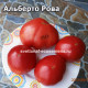 Альберто Рова (Alberto Rova)