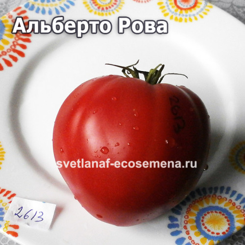 Альберто Рова (Alberto Rova)
