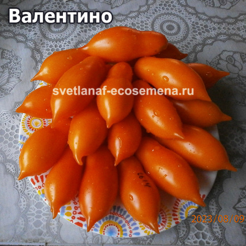 Валентино