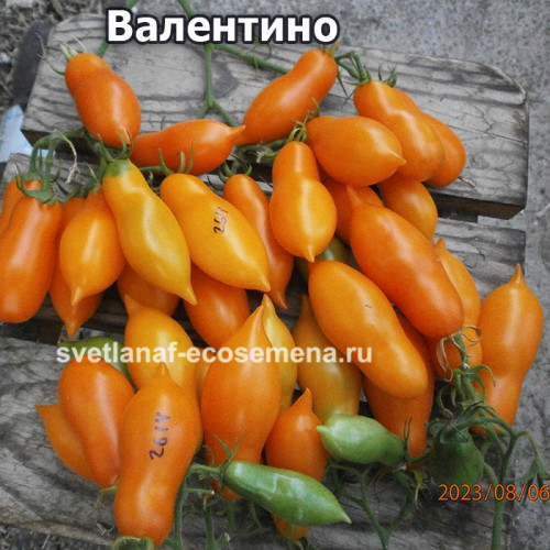 Валентино