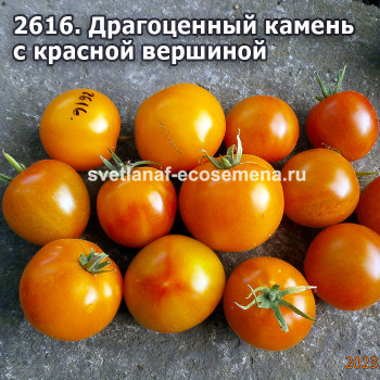 Драгоценный камень с красной вершиной