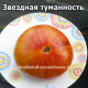 Звездная туманность (Starburst Nebula)