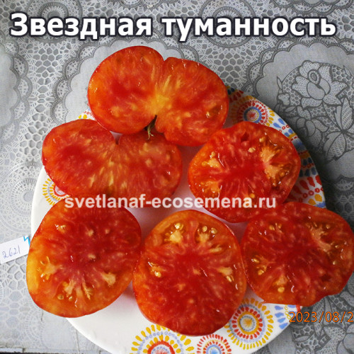 Звездная туманность (Starburst Nebula)