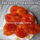 Звездная туманность (Starburst Nebula)
