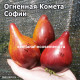 Огненная Комета Софии