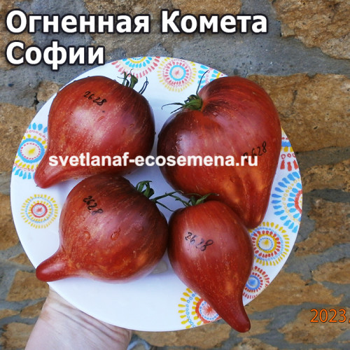Огненная Комета Софии