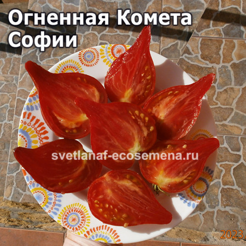 Огненная Комета Софии