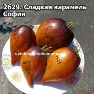 Сладкая Карамель Софии
