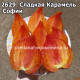 Сладкая Карамель Софии