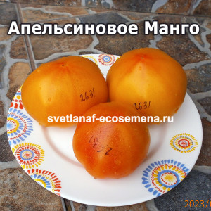 Апельсиновое Манго Софии