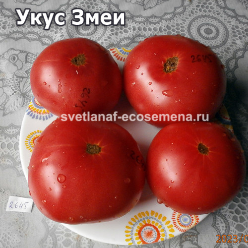 Dwarf Snakebite (Укус Змеи)
