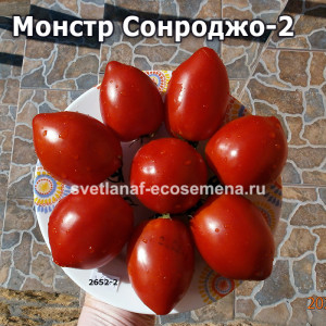 Dwarf Sonrojo Monster (Монстр Сонроджо)