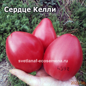 Сердце Келли (Kelli’s Heart)