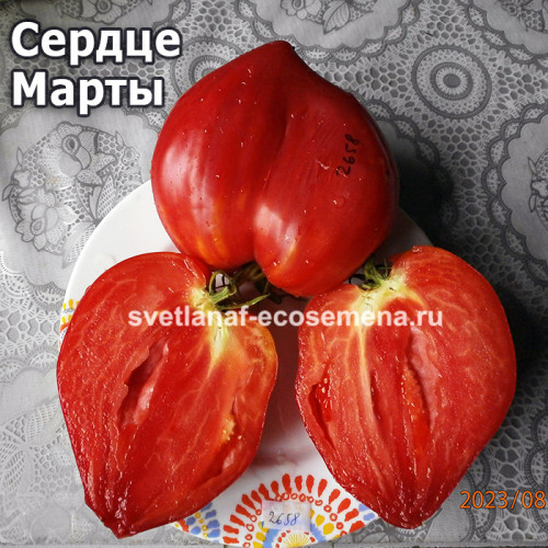 Cердце Марты (Martha’s heart)