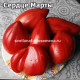 Cердце Марты (Martha’s heart)