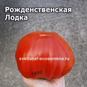 Рождественская Лодка (Barca Di Natale)
