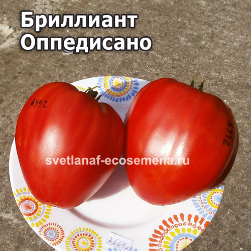 Бриллиант Оппедисано (Diamante Oppedisano)