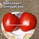 Бриллиант Оппедисано (Diamante Oppedisano)