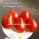 Бриллиант Оппедисано (Diamante Oppedisano)