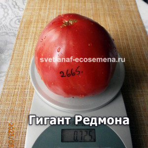 Гигант Редмона (Redmon Giant)