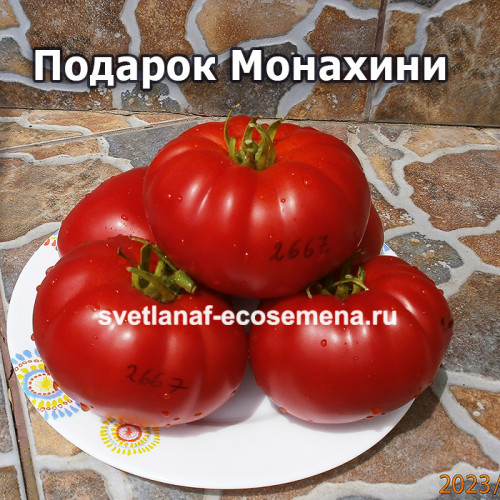 Подарок Mонахини