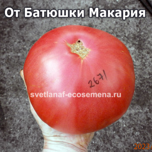 От Батюшки Макария
