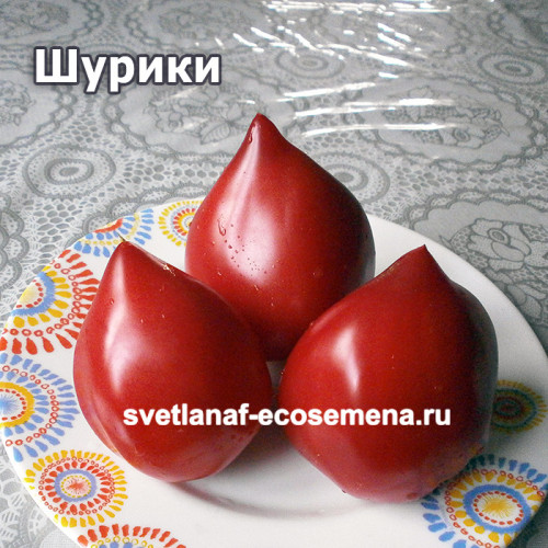 Шурики