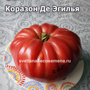 Коразон Де Эгилья (Corazon d’Aiguilla)
