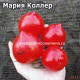 Мария Коллер (Maria Koller)