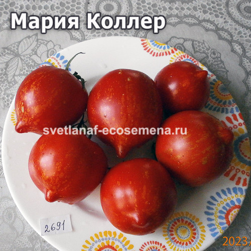 Мария Коллер (Maria Koller)