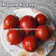 Мария Коллер (Maria Koller)