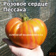 Coeur Rose de Pessac Strie (Розовое сердце Пессака Полосатое)