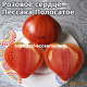 Coeur Rose de Pessac Strie (Розовое сердце Пессака Полосатое)