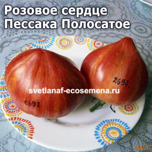 Coeur Rose de Pessac Strie (Розовое сердце Пессака Полосатое)