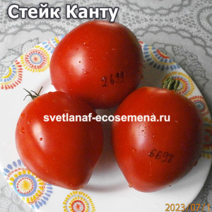 Bistecca Cantu (Стейк Канту)