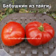 Бабушкин из тайги (Бомбический)