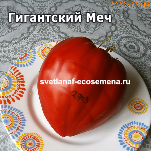 Гигантский Меч ( Spadone Gigante)