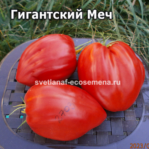 Гигантский Меч ( Spadone Gigante)