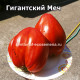 Гигантский Меч ( Spadone Gigante)