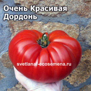 Очень Красивая Дордонь