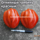 Огненный гребень красный (Cresta Di Fuoco Red)