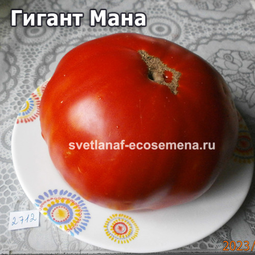 Гигант Мана  (Gigante Mana)