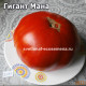 Гигант Мана  (Gigante Mana)